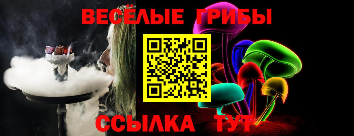 Гусиноозёрск  Псилоцибиновые грибы MAGIC MUSHROOMS  купить наркотики сайты  Вход с VPN 